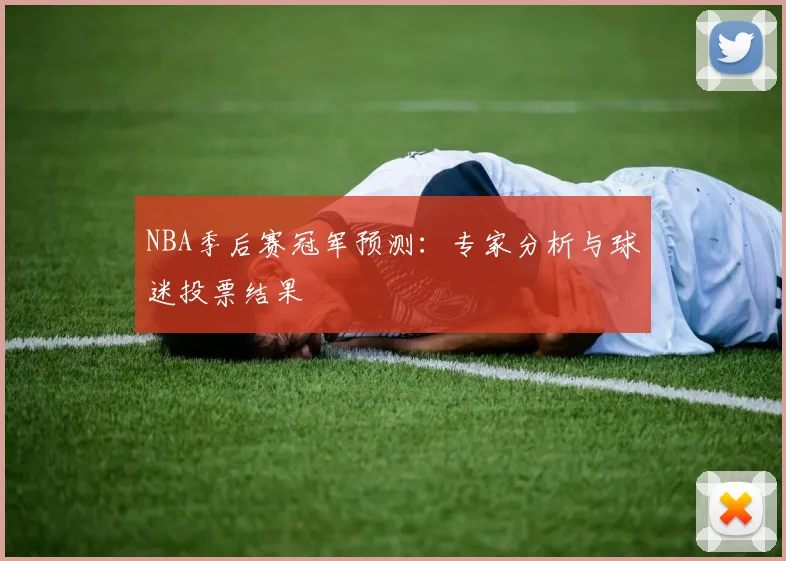 NBA季后赛冠军预测:专家分析与球迷投票结果
