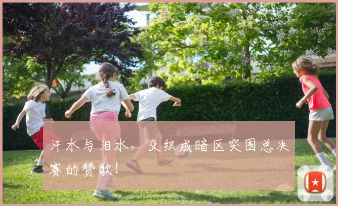 汗水与泪水,交织成暗区突围总决赛的赞歌!