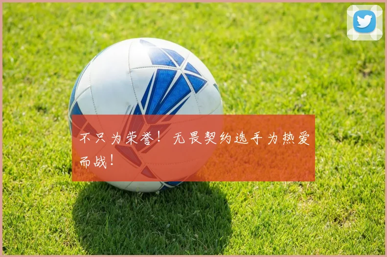 不只为荣誉!无畏契约选手为热爱而战!