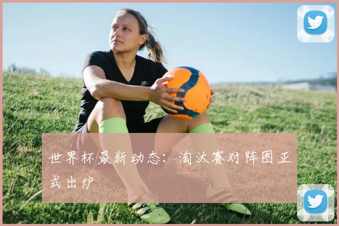 世界杯最新动态:淘汰赛对阵图正式出炉