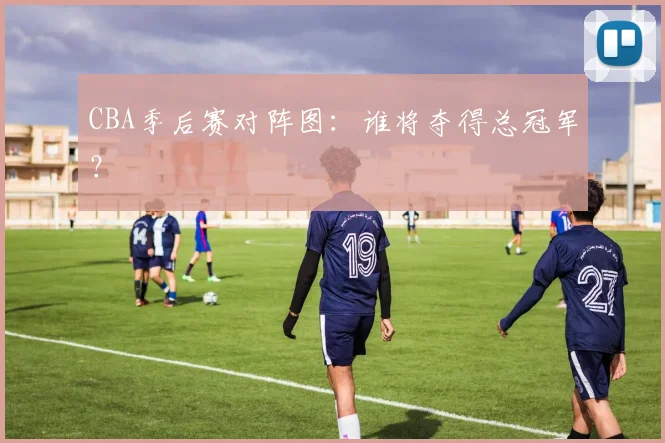 CBA季后赛对阵图：谁将夺得总冠军？
